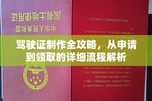 田东驾驶证制作全攻略，从申请到领取的详细流程解析
